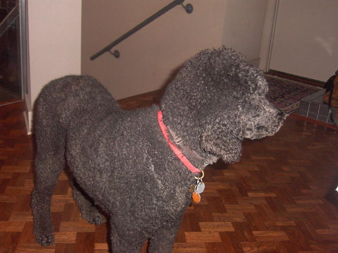 Image4963