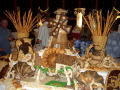 CaribbeanCruiseDownload 141