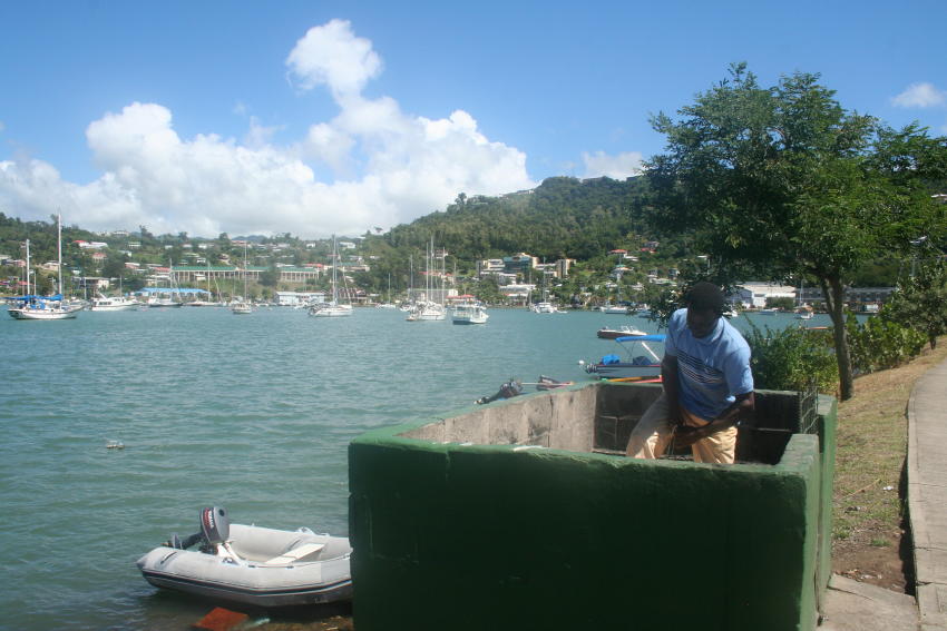 Image8667